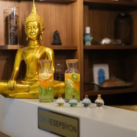 酒店 Acroter 达特恰