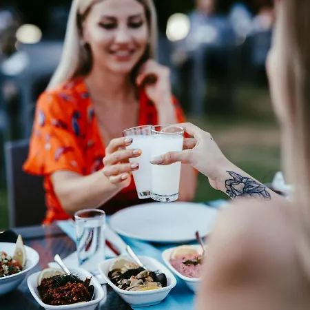 酒店 Acroter 达特恰